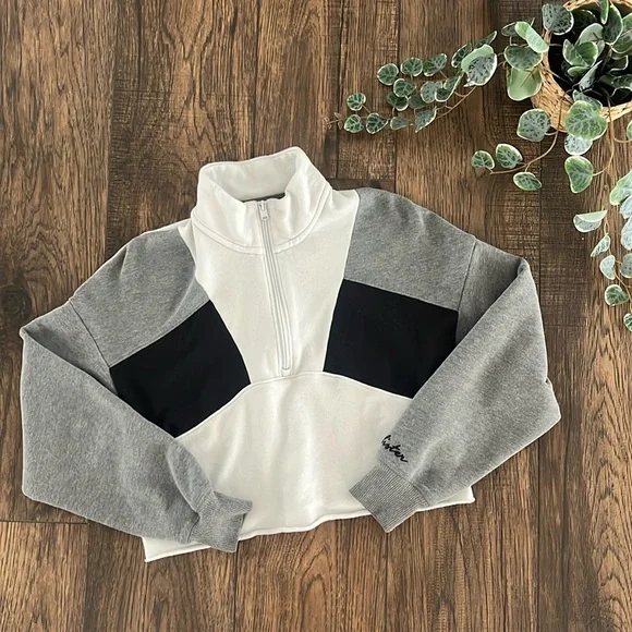 Hollister Tops Hollister High Neck Cropped Half Zip Sweatshirt